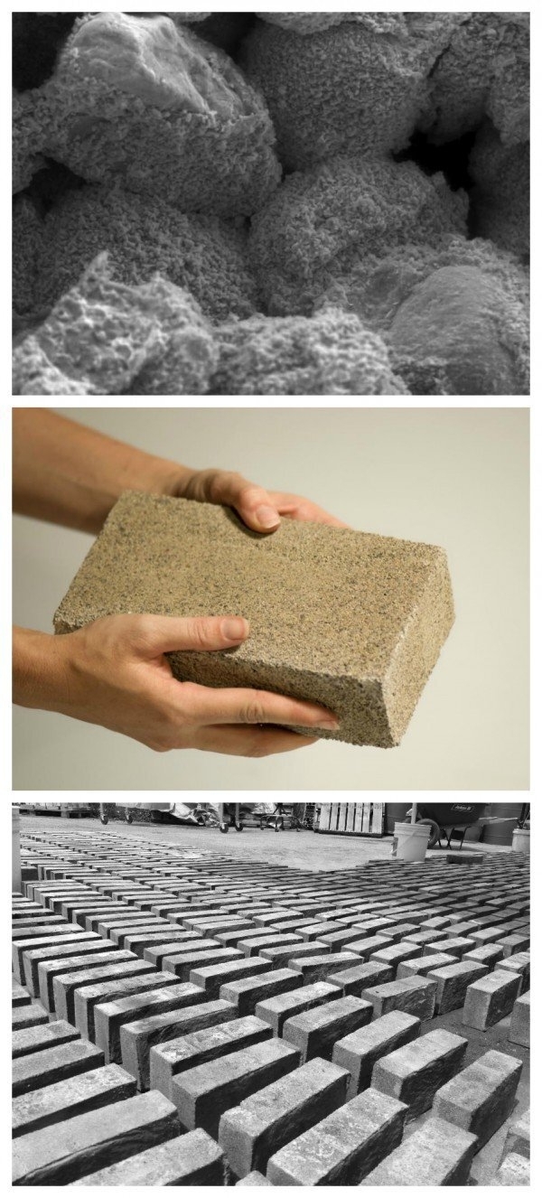 Bio Mason Collage 600 1326 90